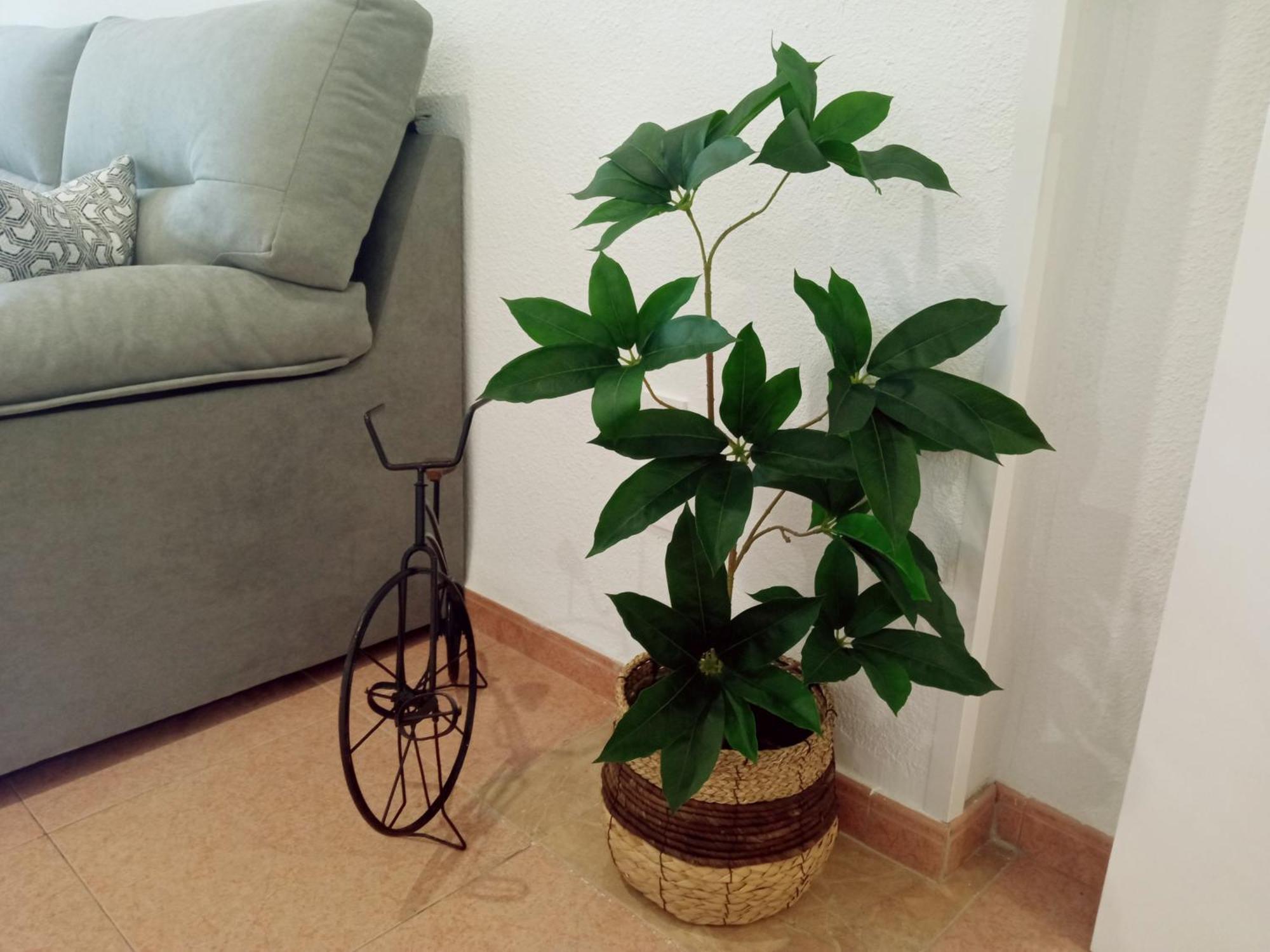 Apartamento Los Jardines De La Magdalena Κόρδοβα Εξωτερικό φωτογραφία